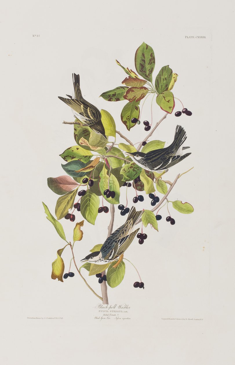 Ilustración de 