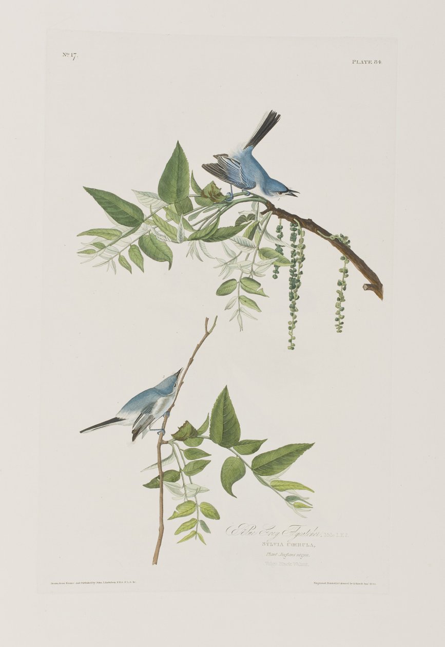Ilustración de 