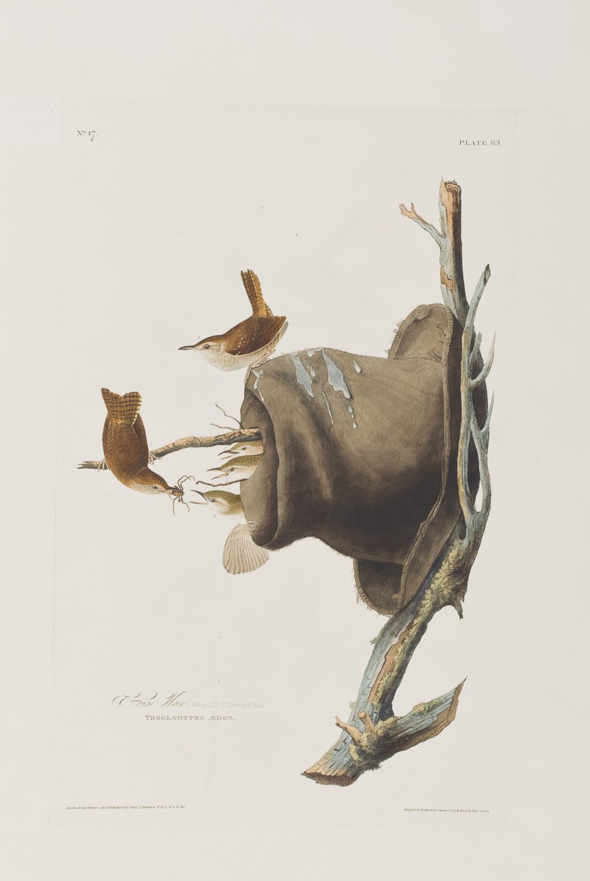 Ilustración de 
