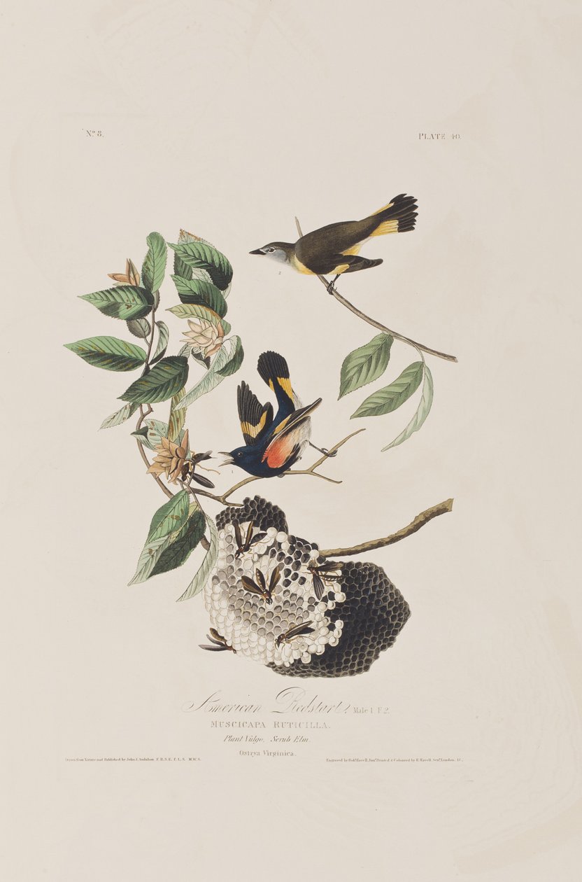 Ilustración de 