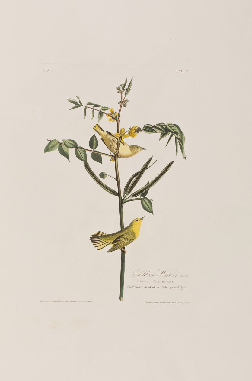 Ilustración de 