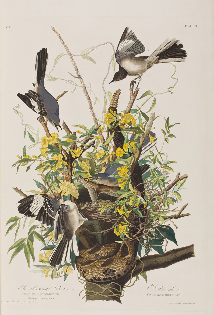 Ilustración de 