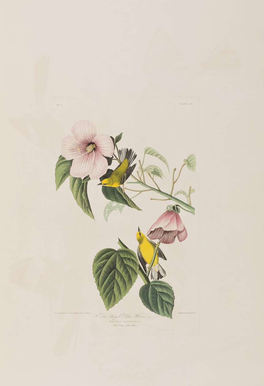 Ilustración de 