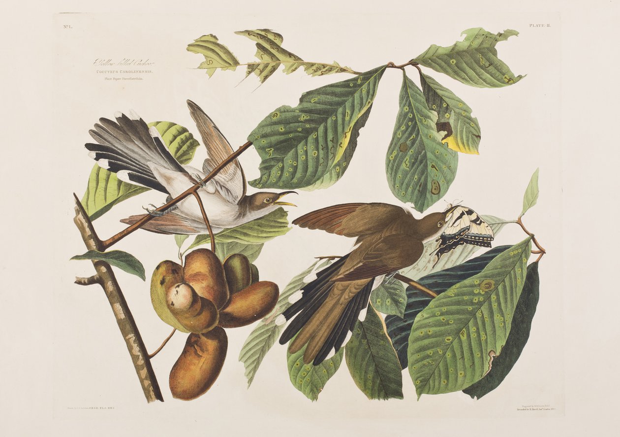 Ilustración de 