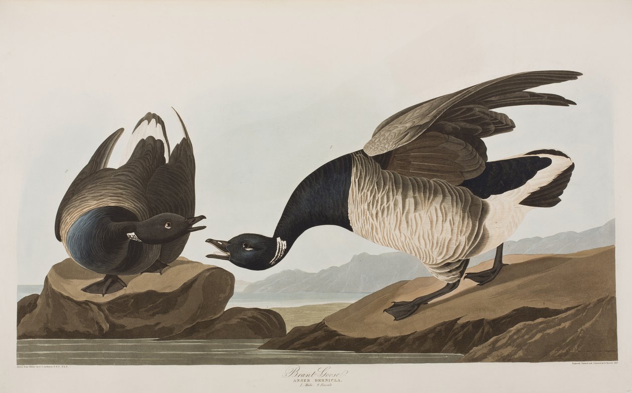 Ilustración de 