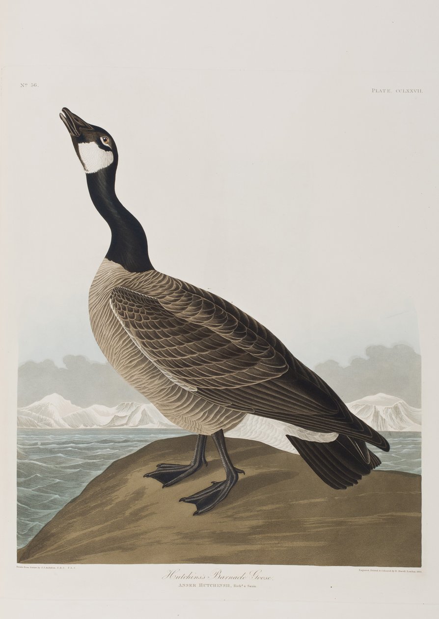 Ilustración de 