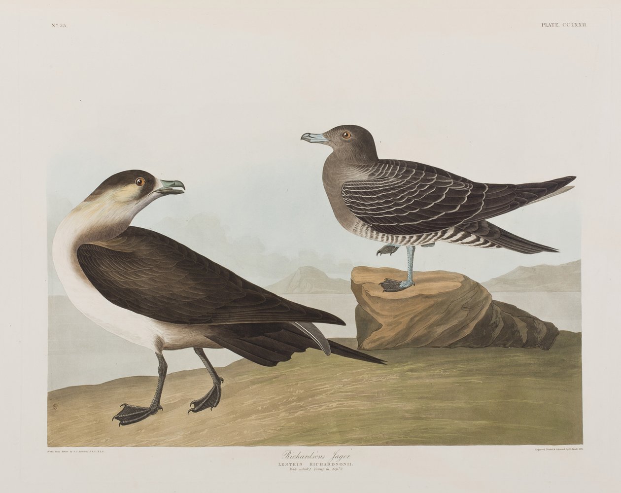 Ilustración de 
