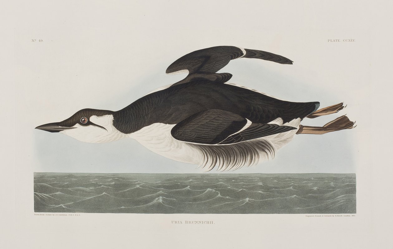 Ilustración de 