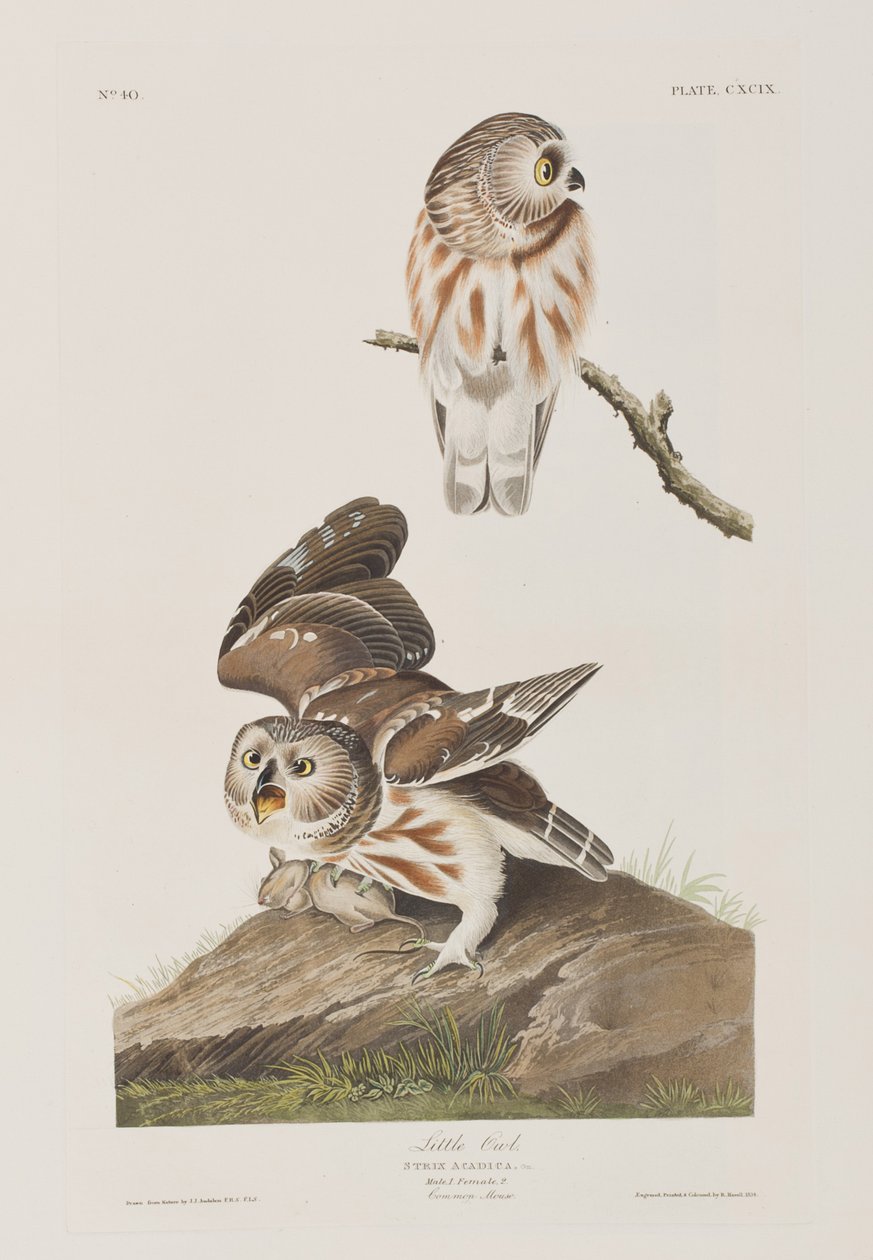 Ilustración de 