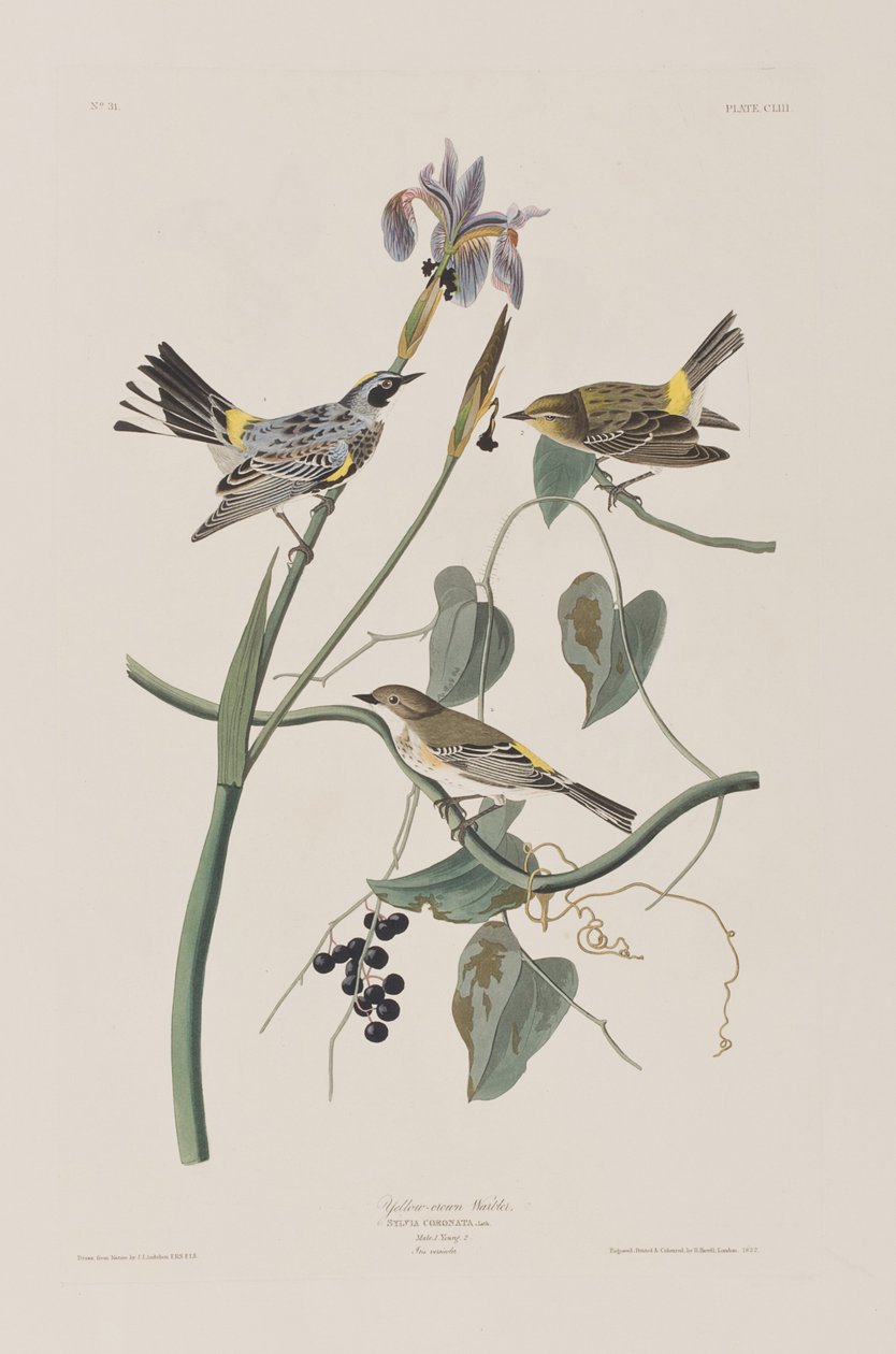 Ilustración de 