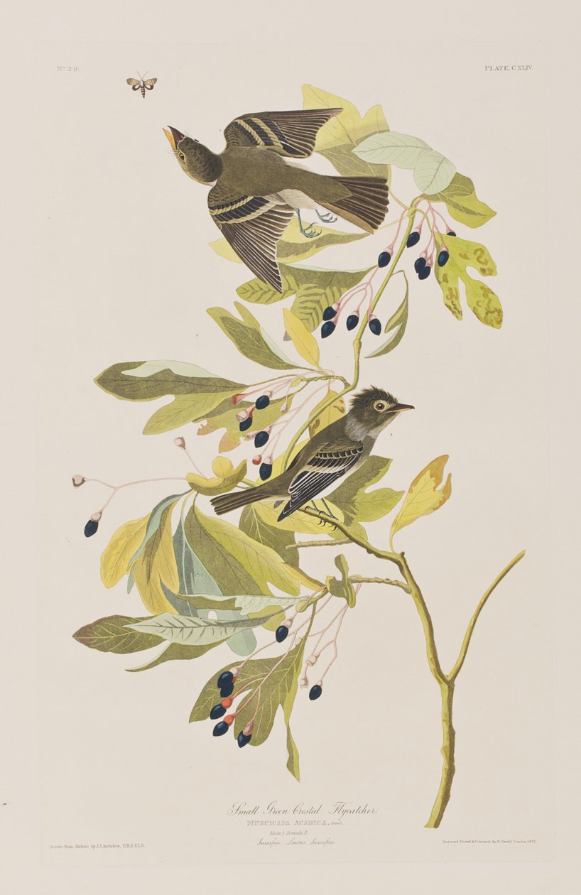 Ilustración de 