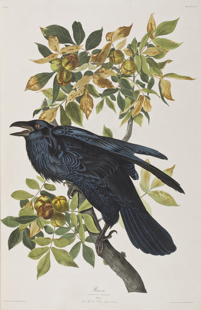 Ilustración de 