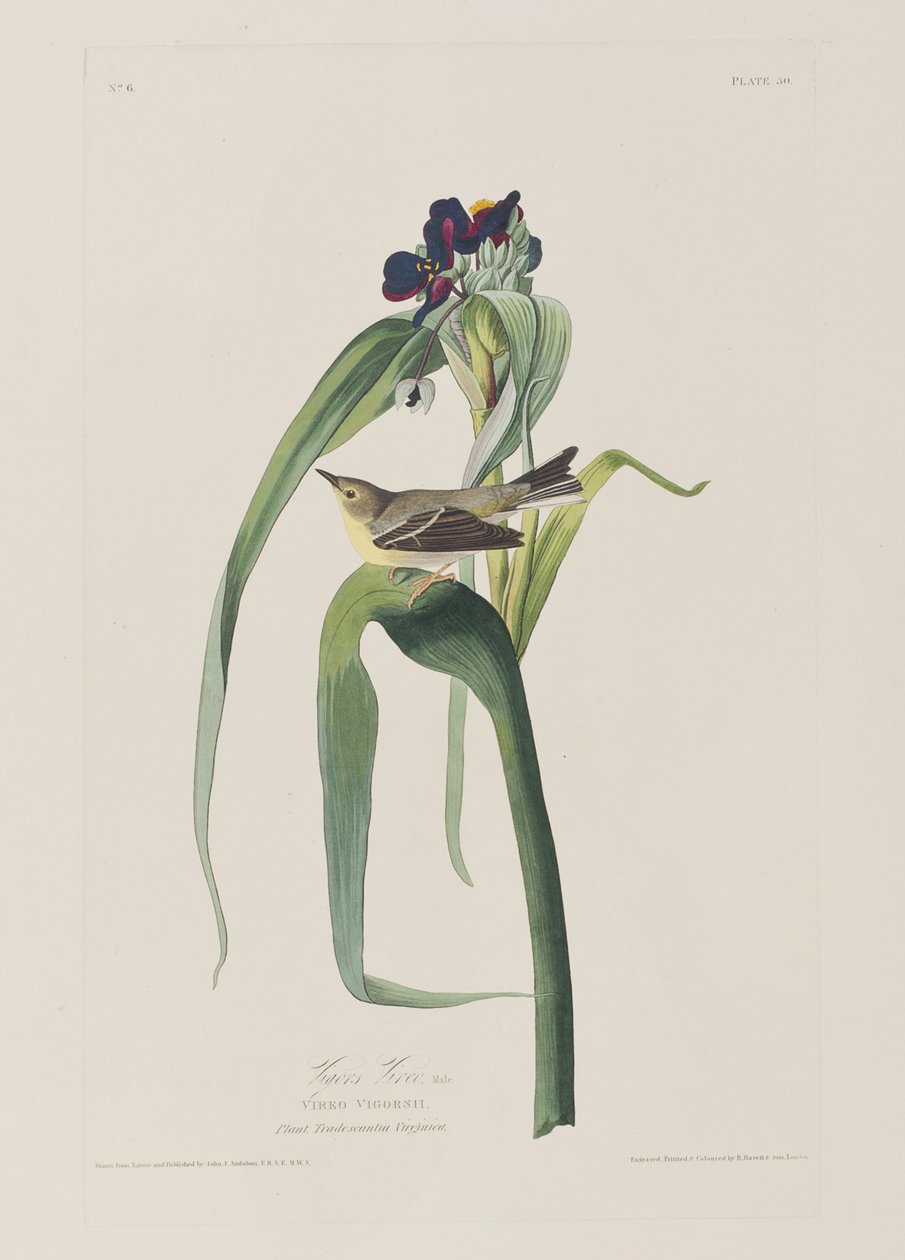 Ilustración de 