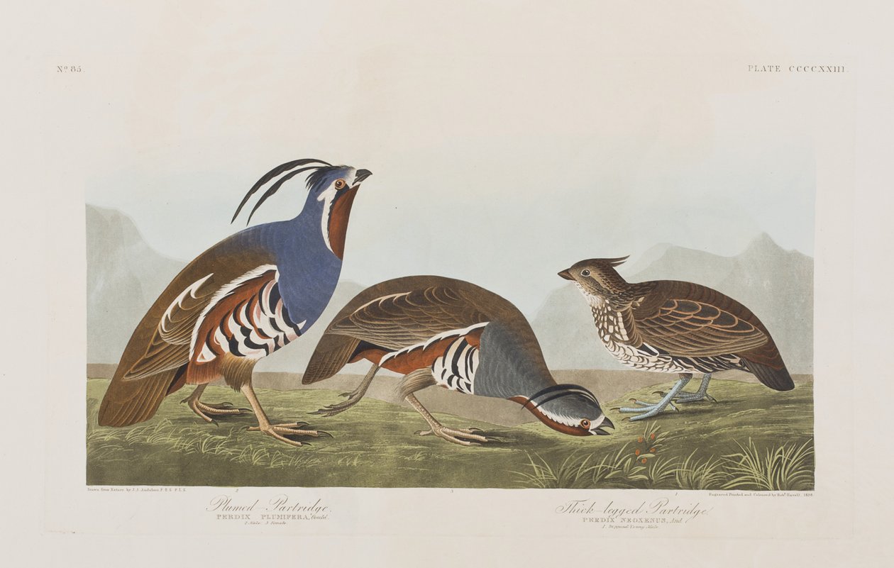 Ilustración de 