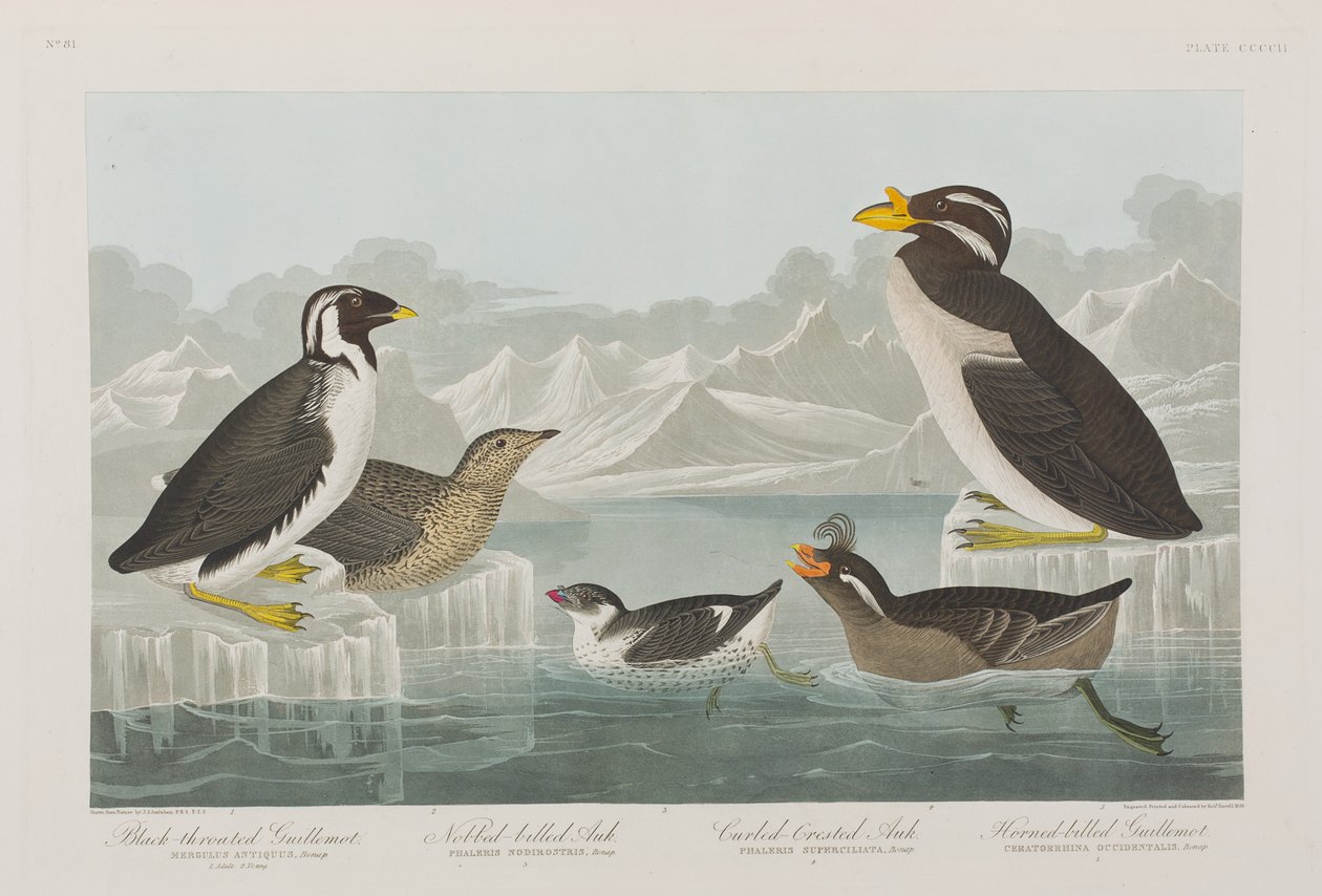 Ilustración de 