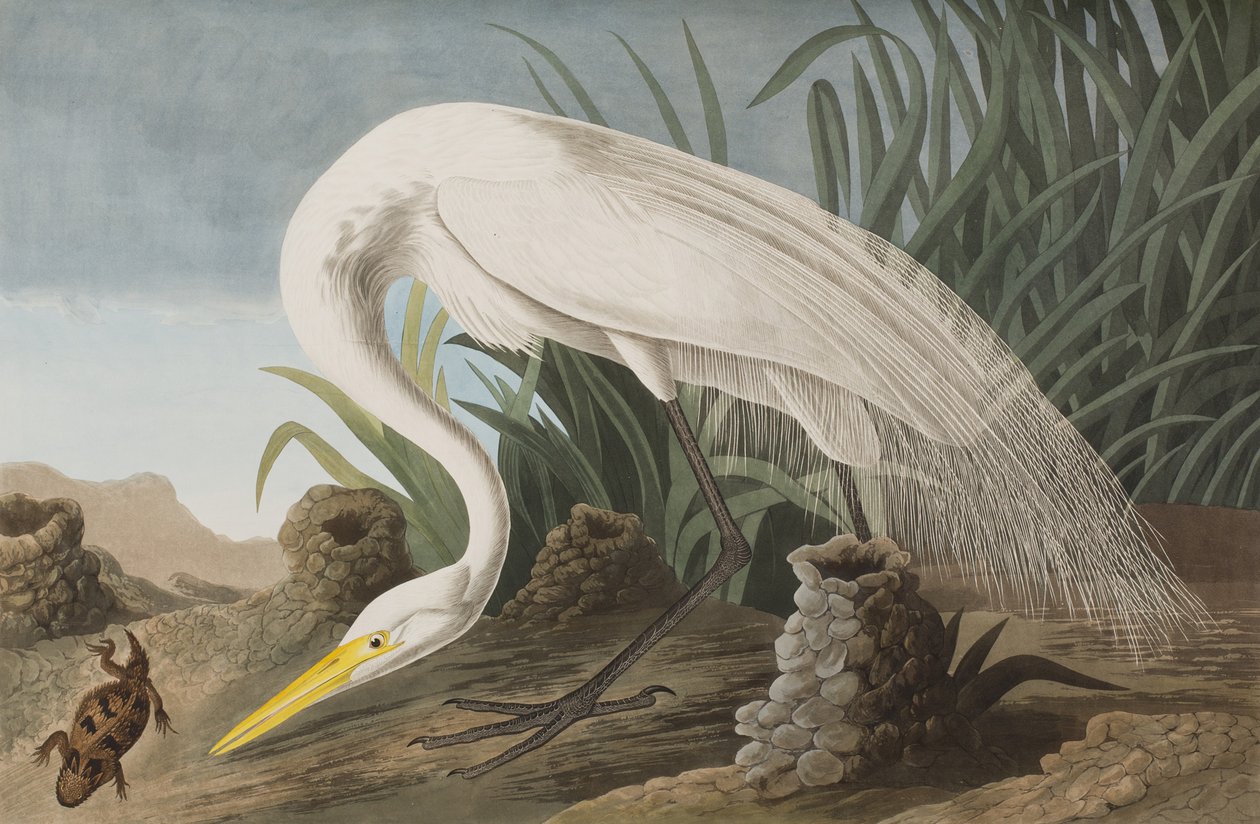 Ilustración de 