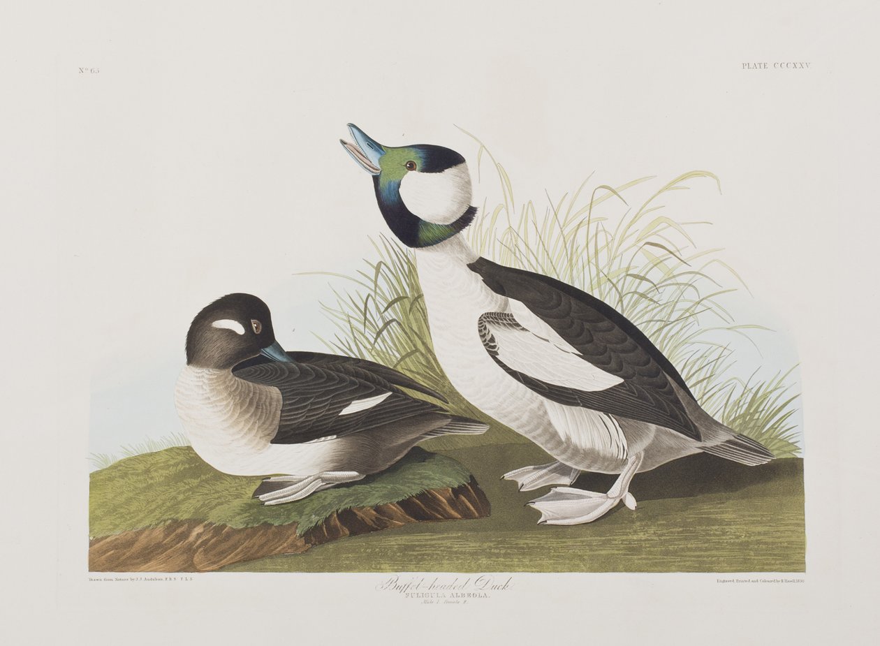 Ilustración de 