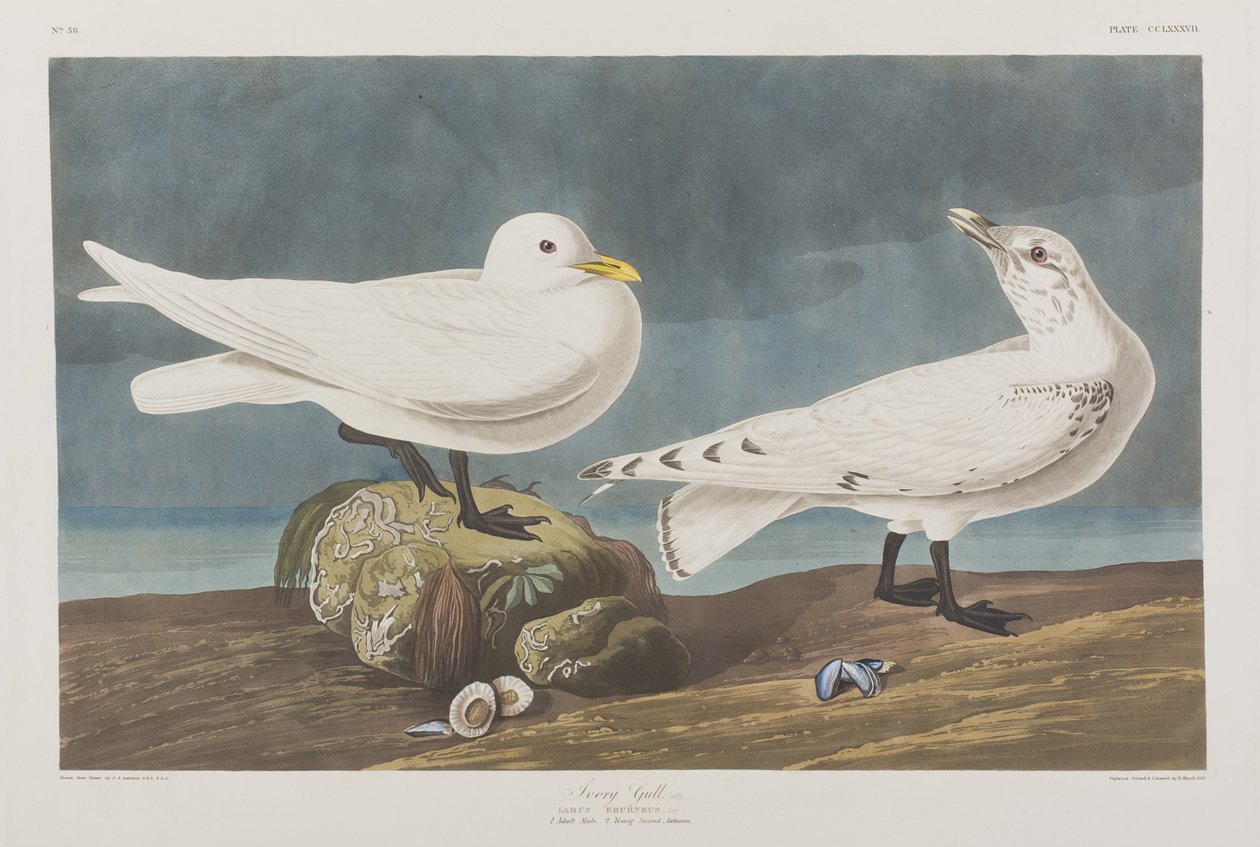 Ilustración de 