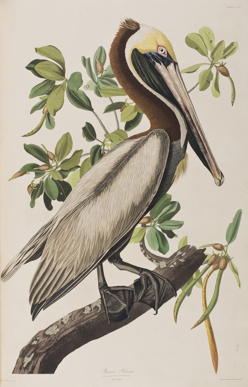 Ilustración de 