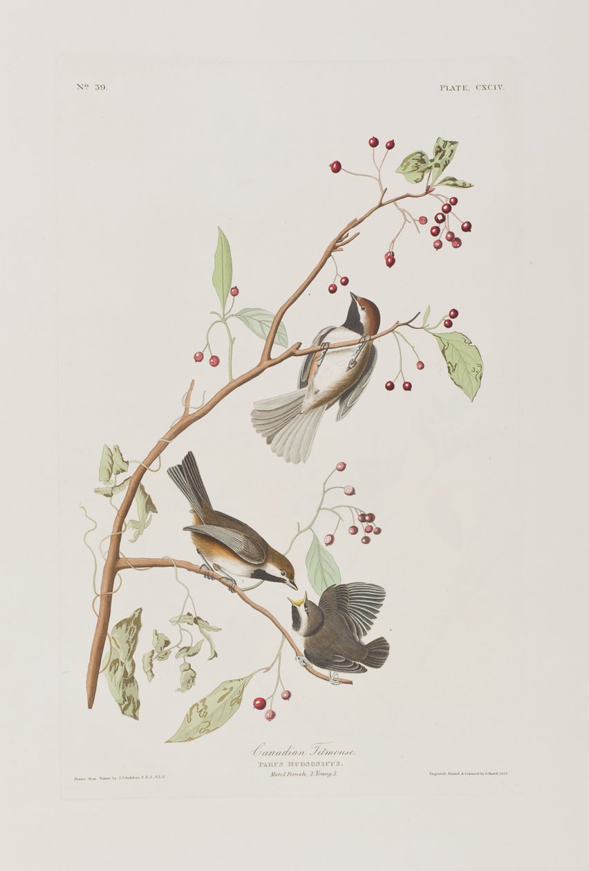 Ilustración de 