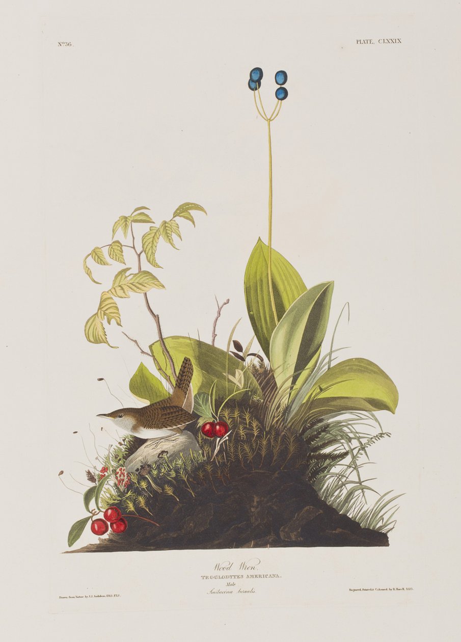 Ilustración de 