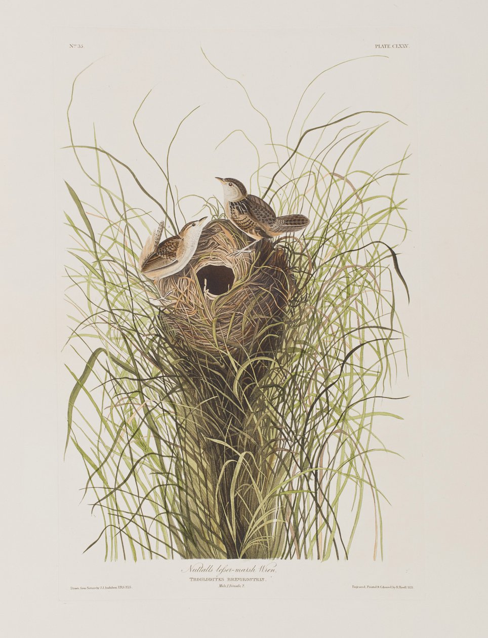 Ilustración de 