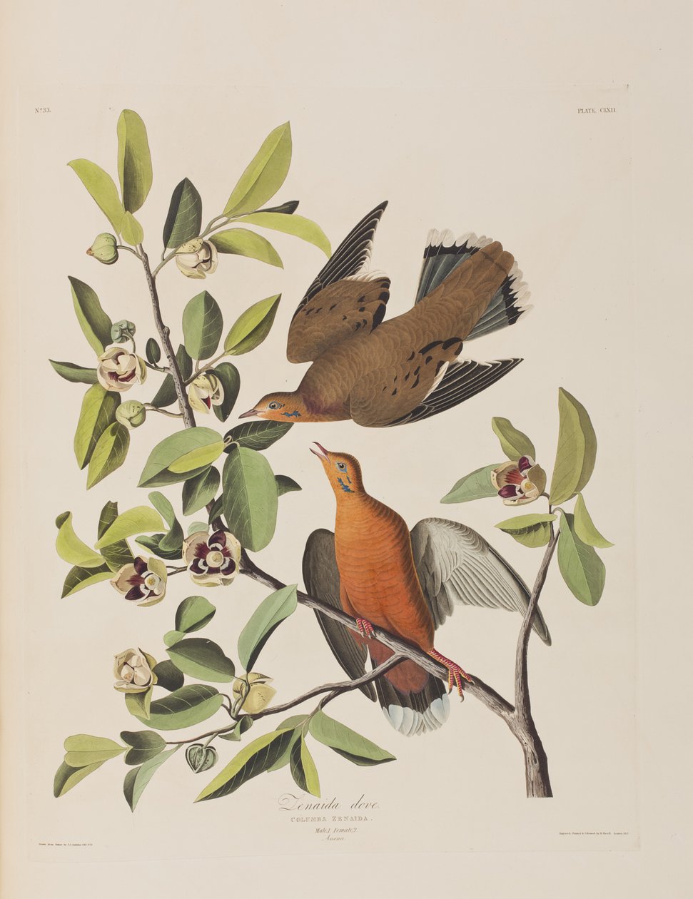 Ilustración de 