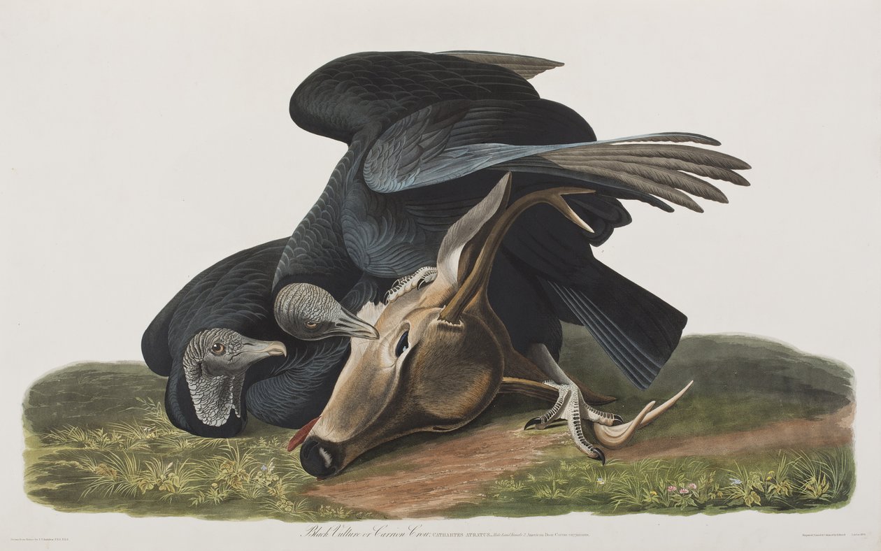 Ilustración de 