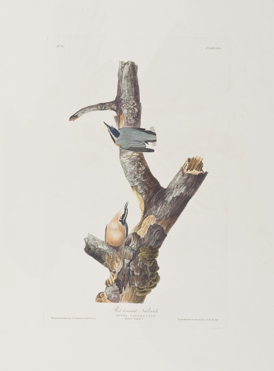 Ilustración de 