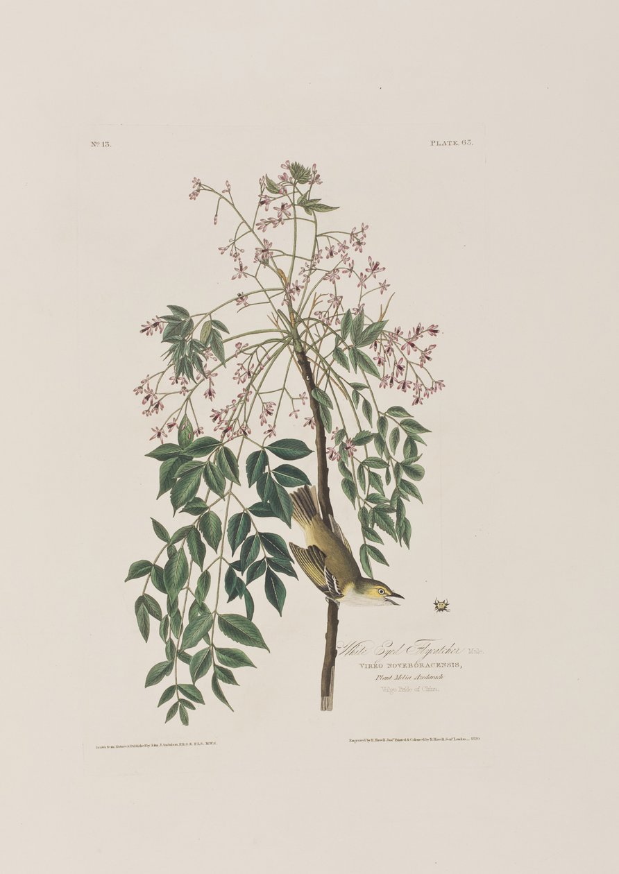 Ilustración de 
