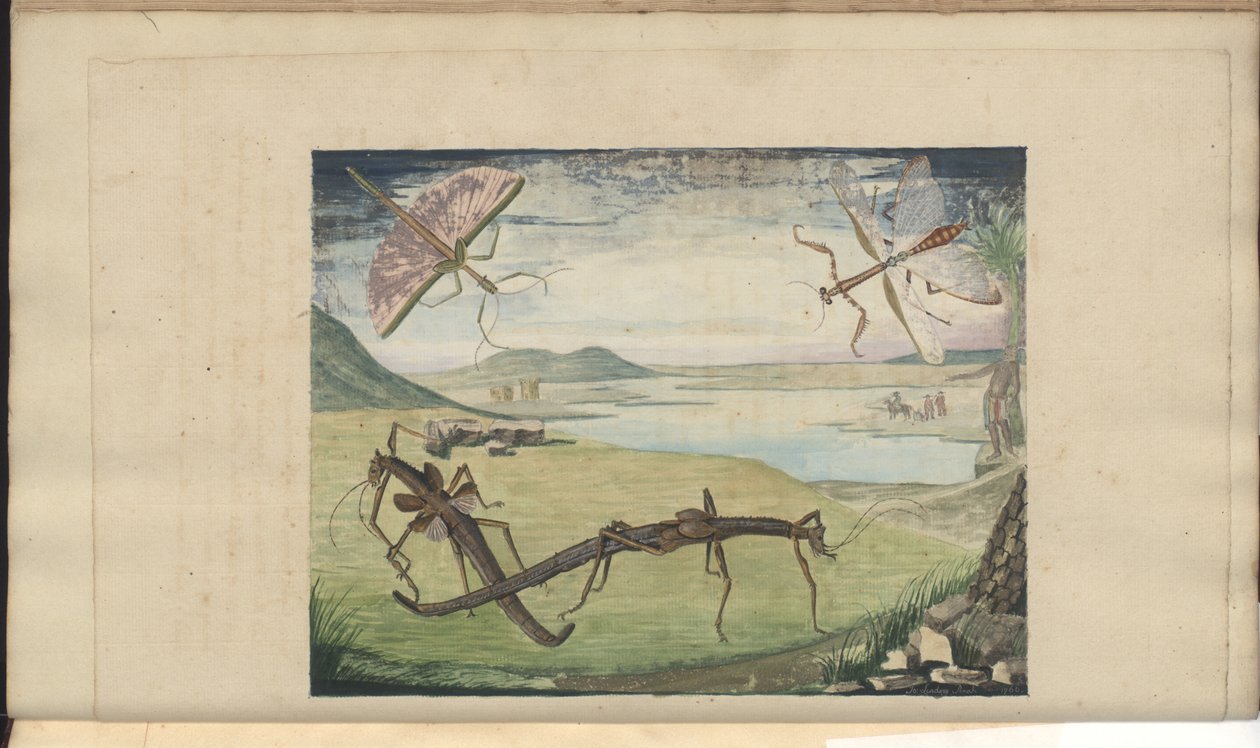 Dibujos de Lindsay Vol. VI de John Lindsay