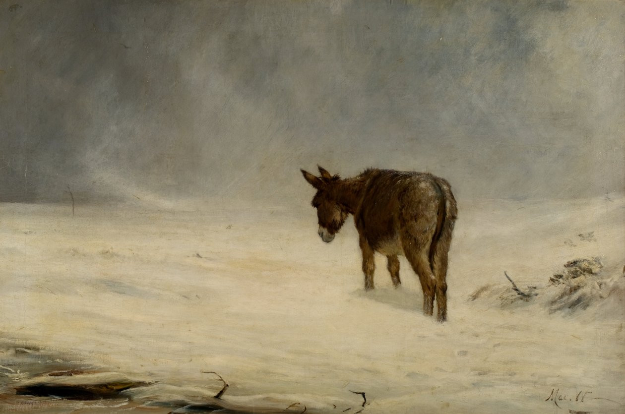 Un Burro en la Nieve de John MacWhirter