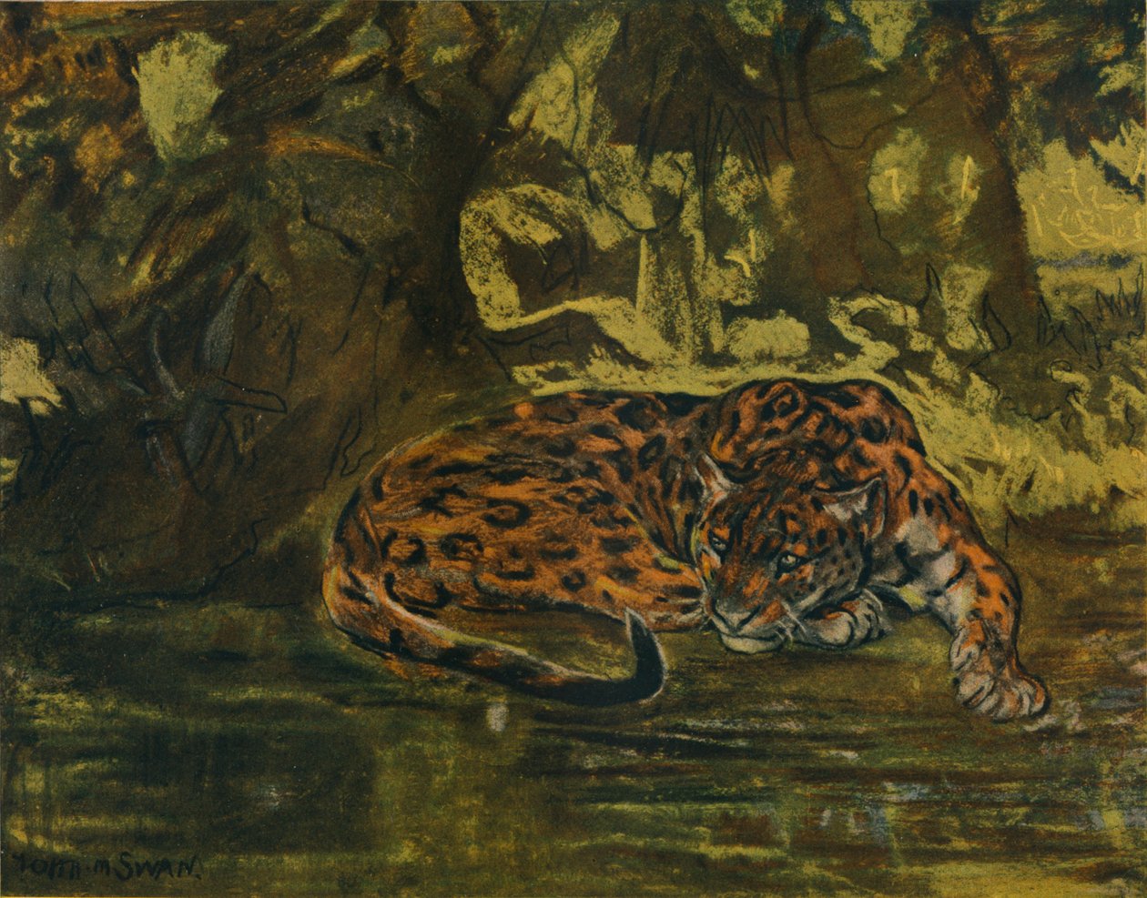 Un jaguar, c1900 de John Macallan Swan