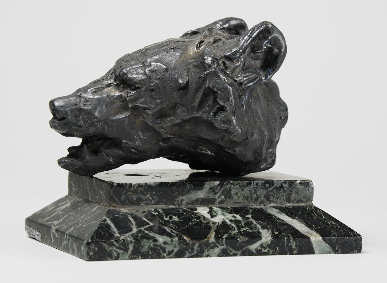 Cabeza de oso, c.1900 de John Macallan Swan