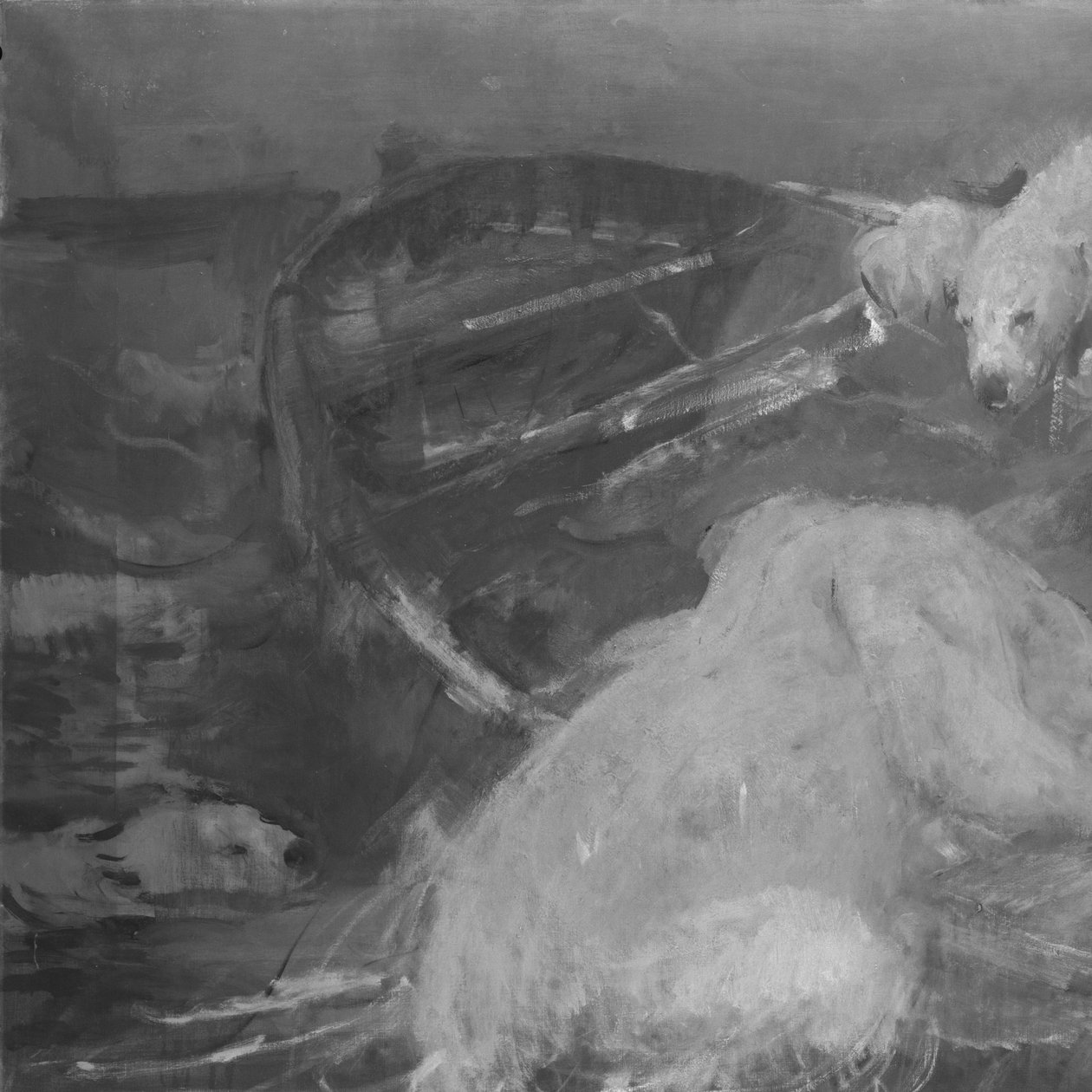 Los osos polares se suben a un balandro flotante de John Macallan Swan