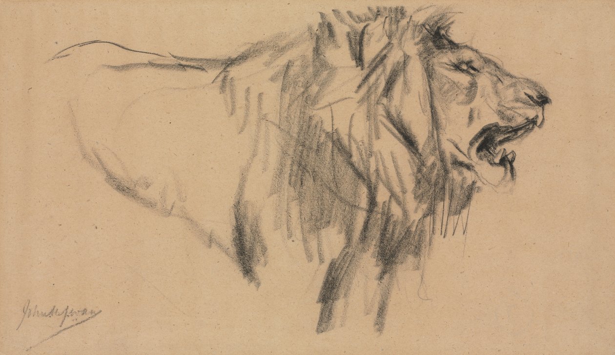 León de John Macallan Swan