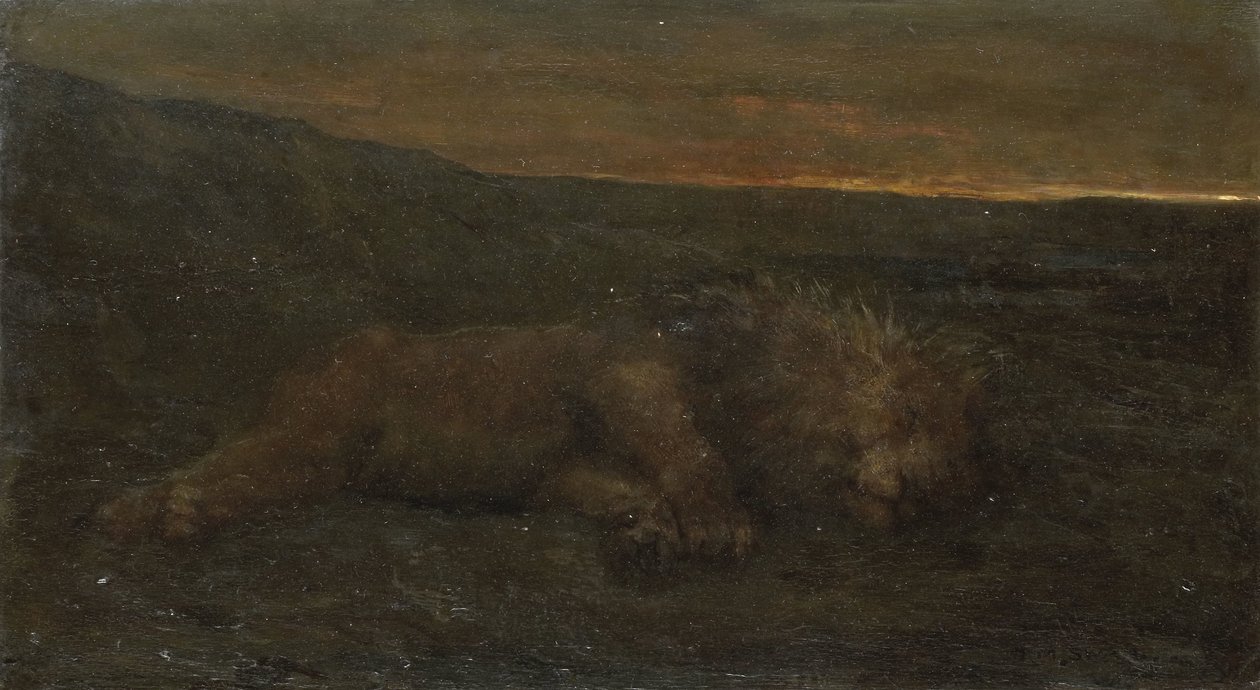 León dormido de noche de John Macallan Swan