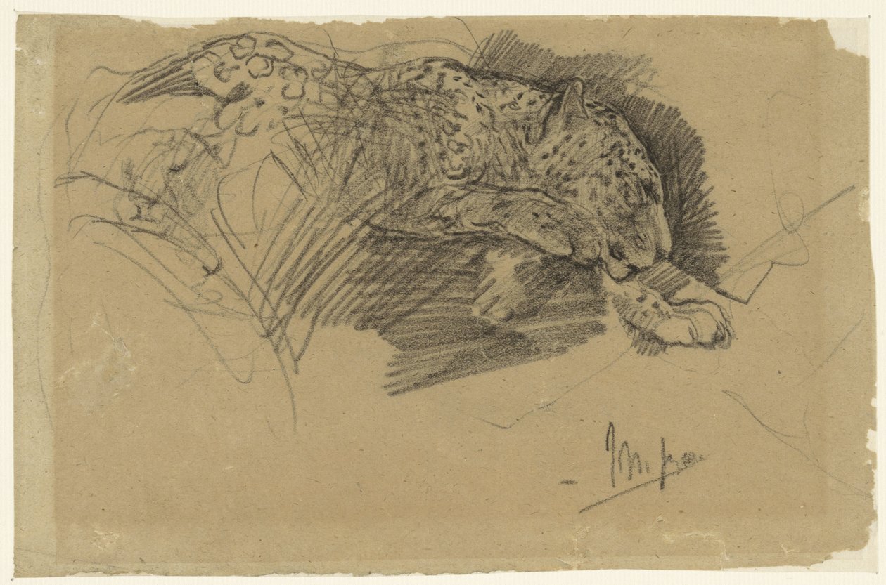 Estudios de un leopardo de John Macallan Swan