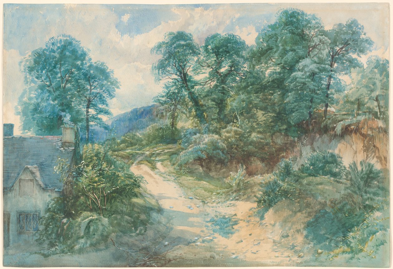Un Camino Rural de John Middleton