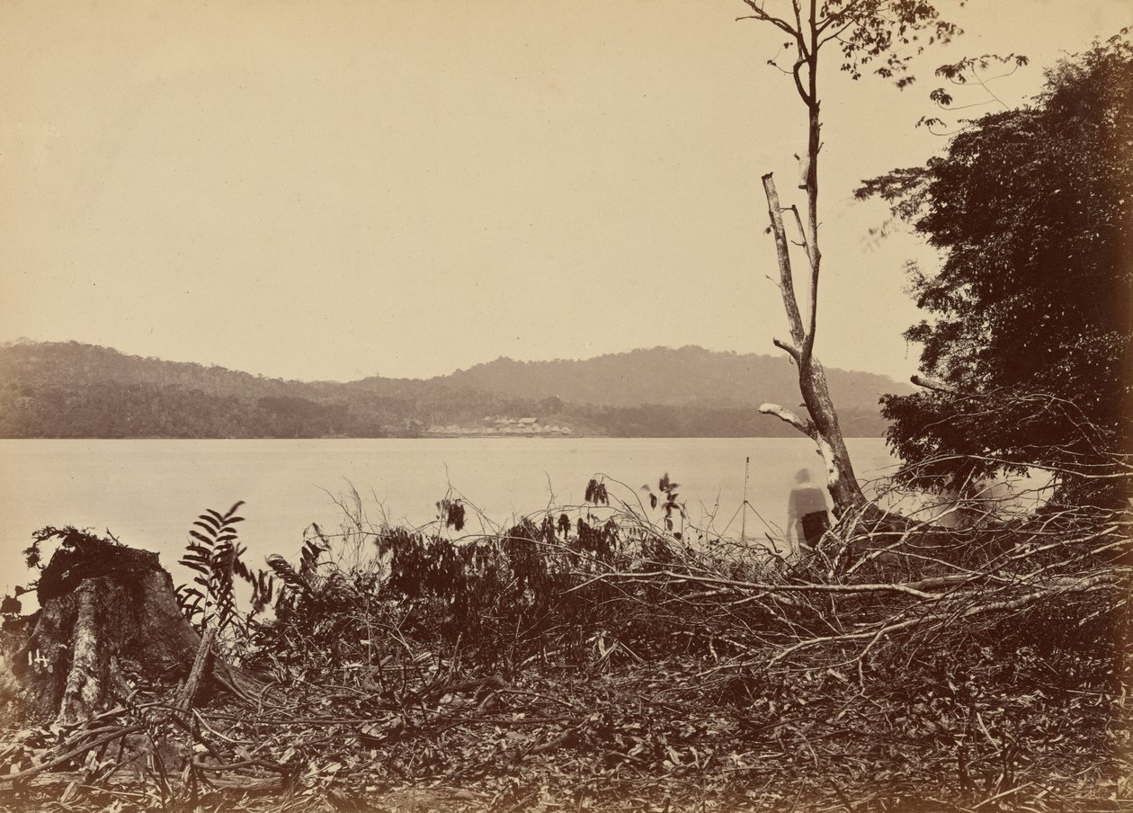 Puerto de Darién, Chipigana,1871 (foto) de John Moran