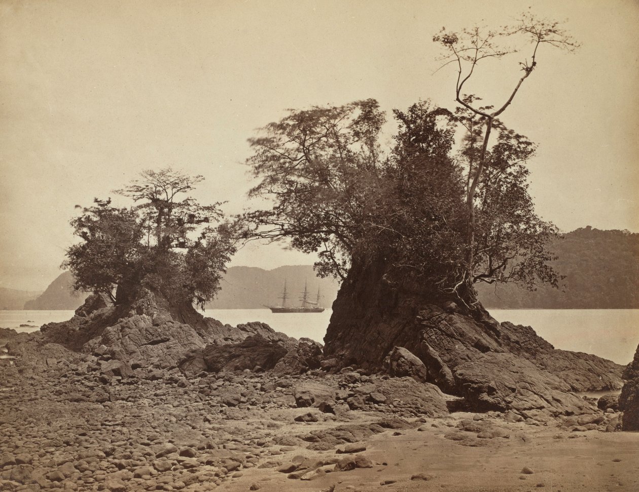 Islas en la Bahía de Limón, 1871 de John Moran