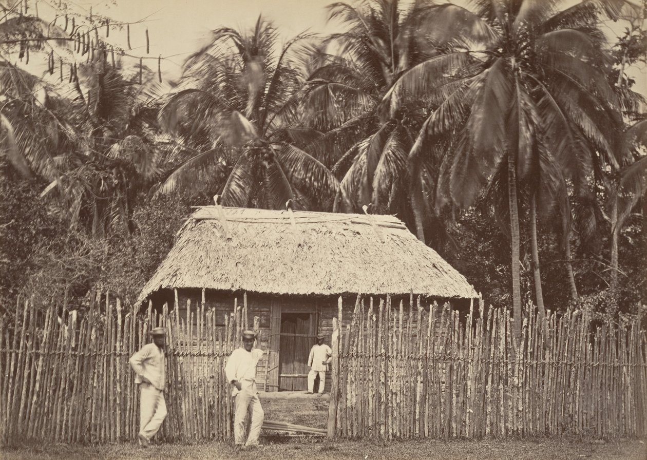 Paisaje tropical, cabaña nativa, Turbo, 1871 de John Moran