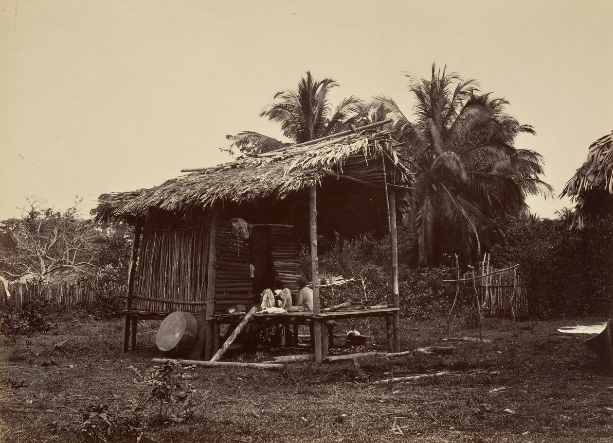 Escenario Tropical, Cabaña Nativa, Turbo de John Moran