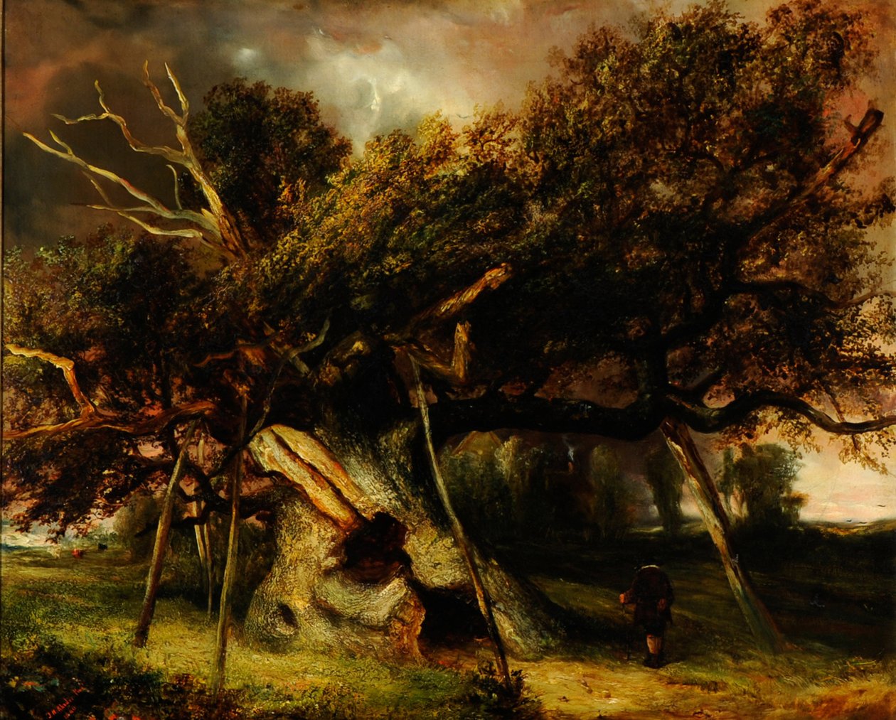 El roble de Cowthorpe de John Nicholas Rhodes