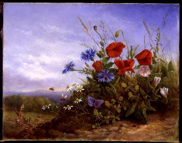 Flores Silvestres en una Orilla de John Rees