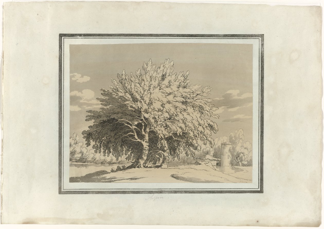 Álamo temblón de John Robert Cozens