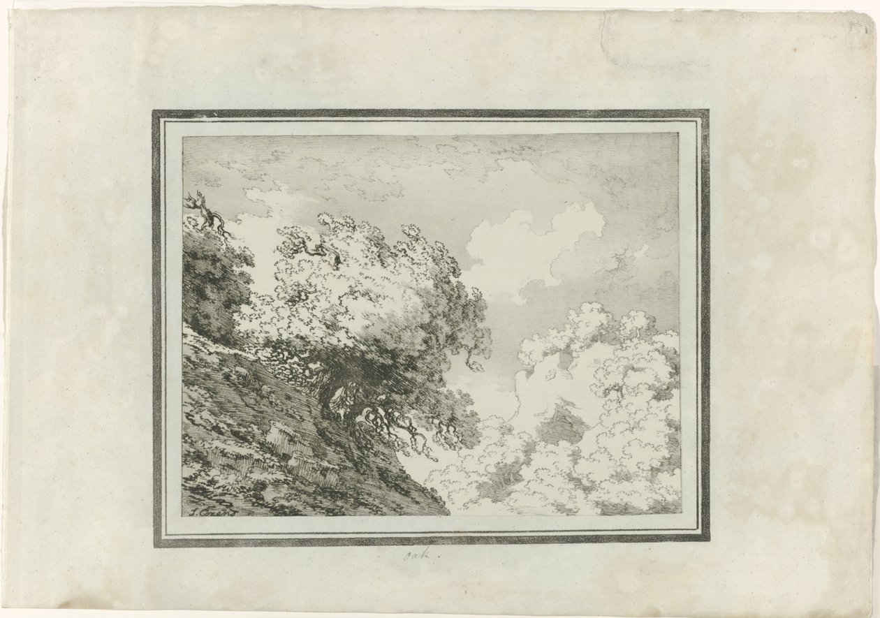 Roble de John Robert Cozens
