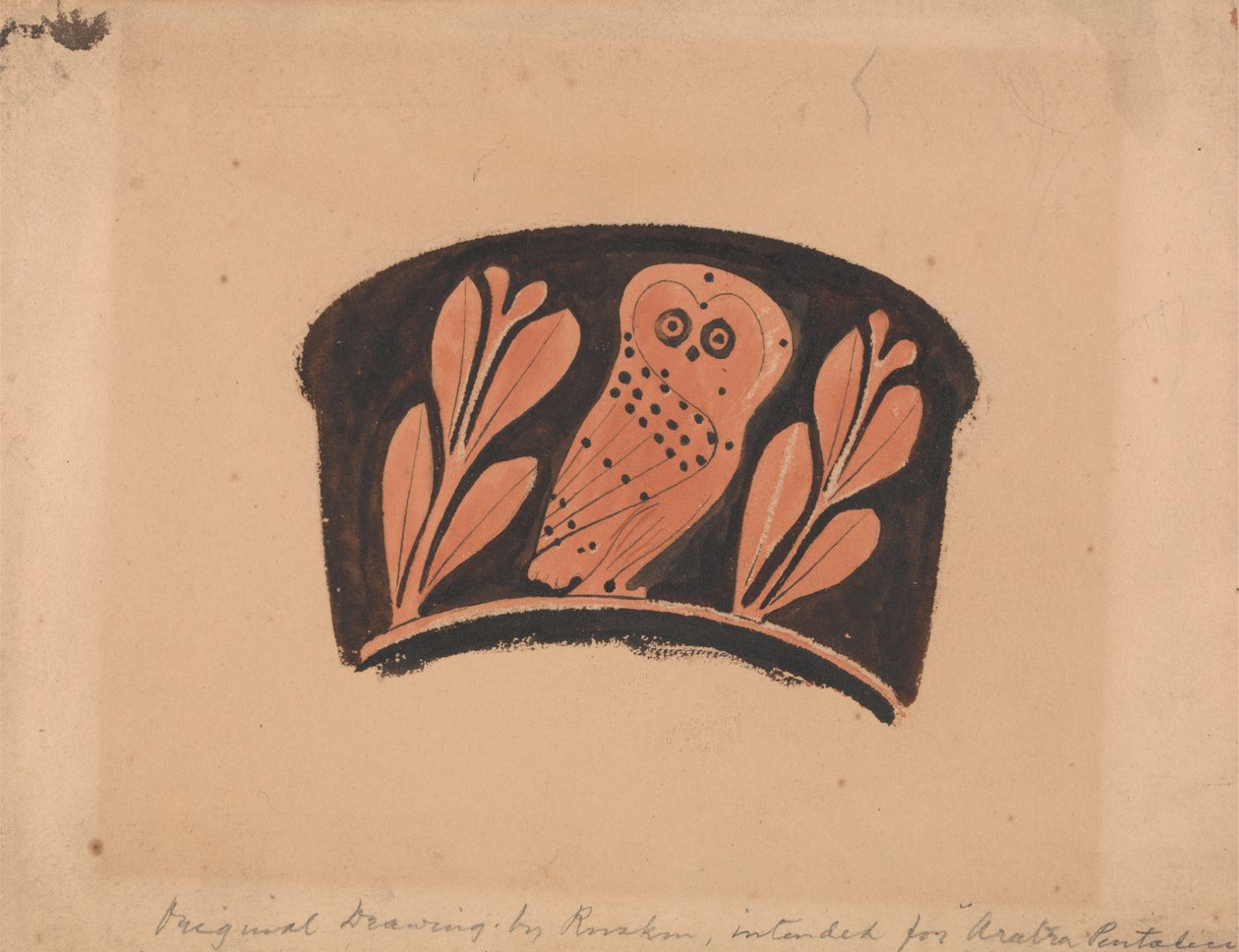 Búho, después de un Kantharos ático de John Ruskin