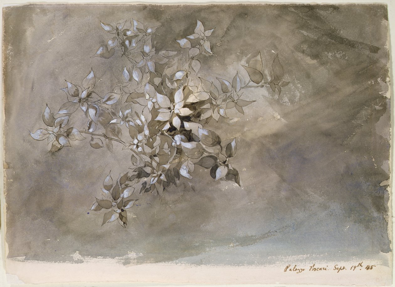 Estudio de follaje de John Ruskin