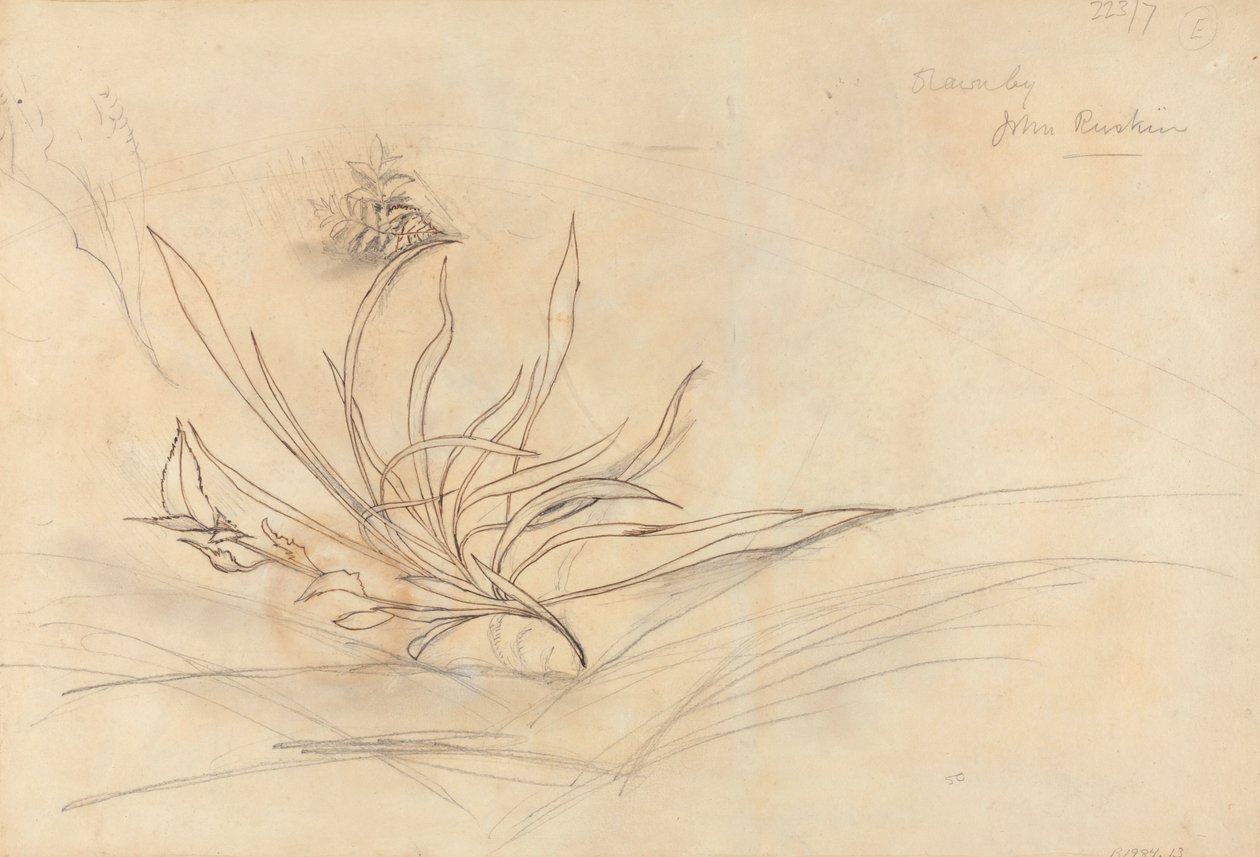 La orilla rocosa de un río de John Ruskin